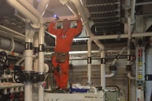 Ship asbestos survey Lucion